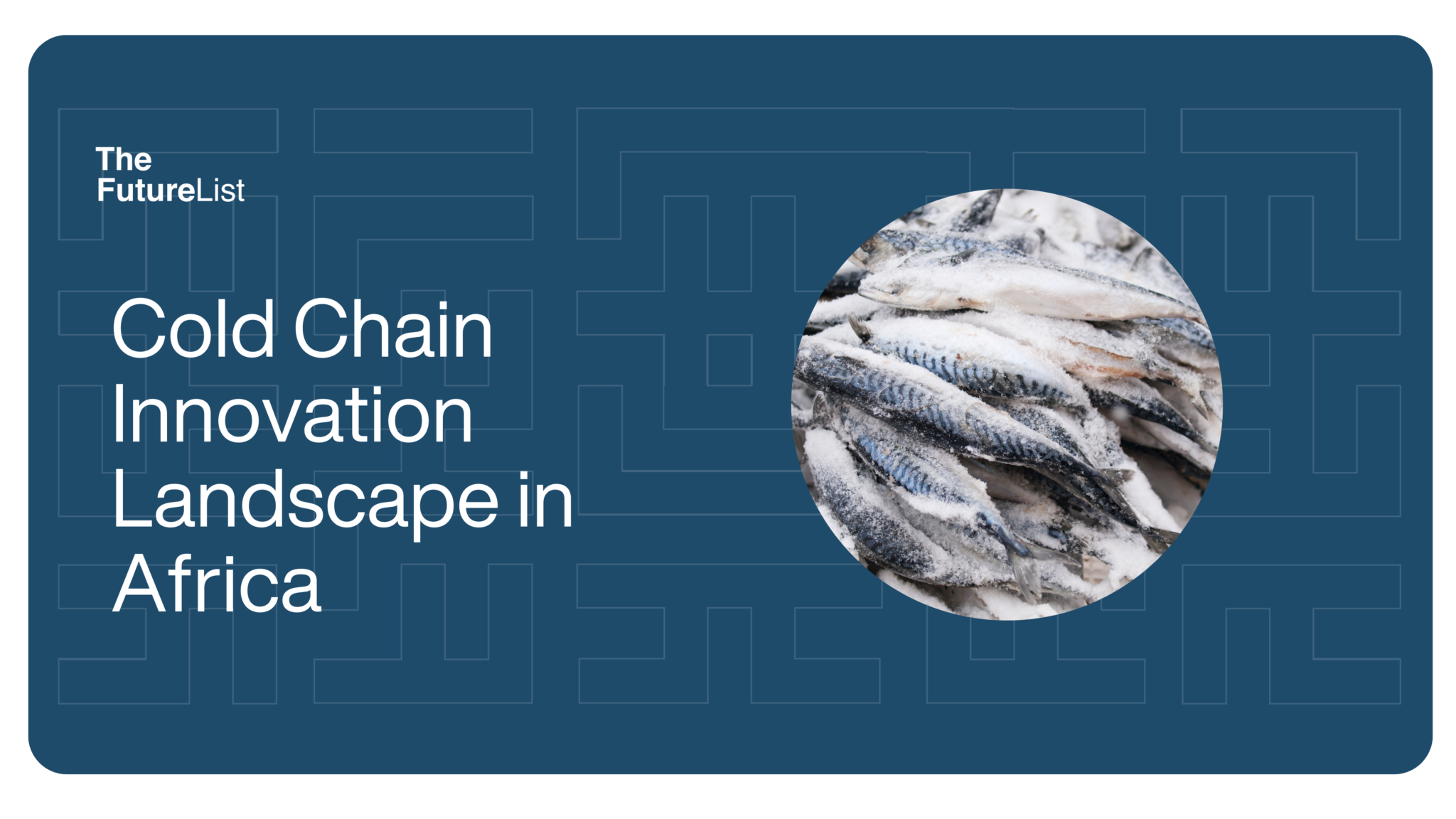 Fish Cold Chain System The Cold Chain Innovation Landscape in Africa - The FutureList - Step ...
